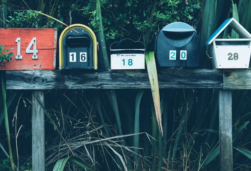 newsletter